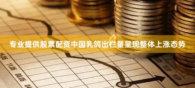 专业提供股票配资中国乳鸽出栏量呈现整体上涨态势