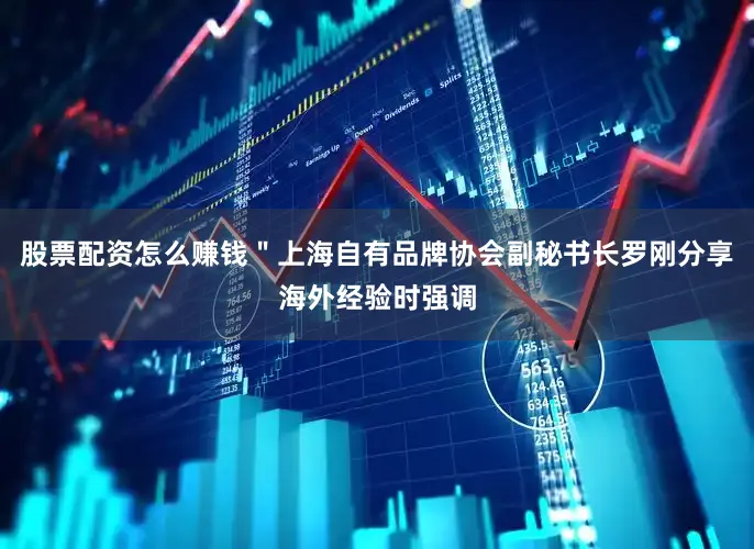 股票配资怎么赚钱＂上海自有品牌协会副秘书长罗刚分享海外经验时强调