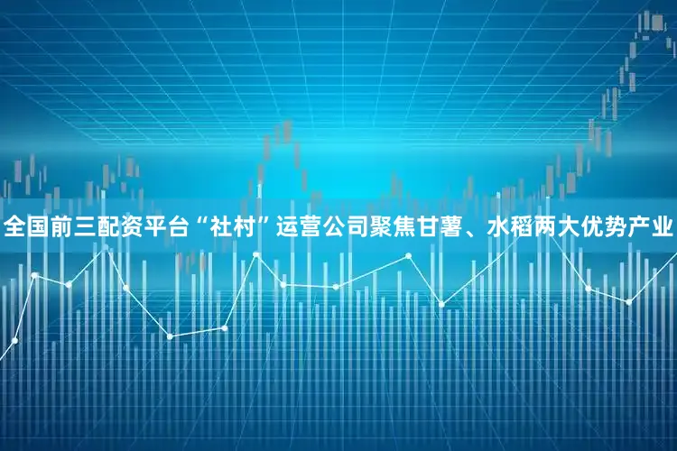 全国前三配资平台“社村”运营公司聚焦甘薯、水稻两大优势产业